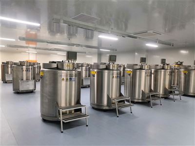 大口徑液氮箱液氮罐